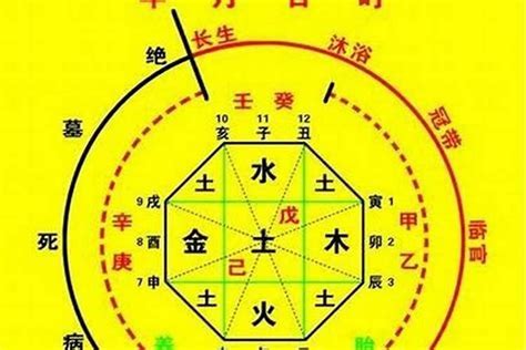 五行喜金水|八字喜金水：健康養生攻略